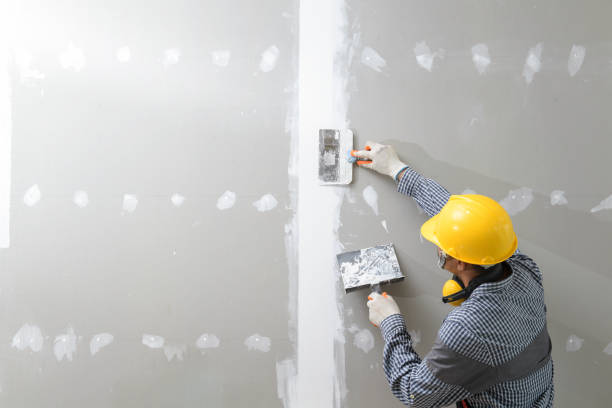 Best Basement Mold Removal  in Eureka, KS