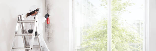 Best Environmental Consulting for Mold Prevention  in Eureka, KS