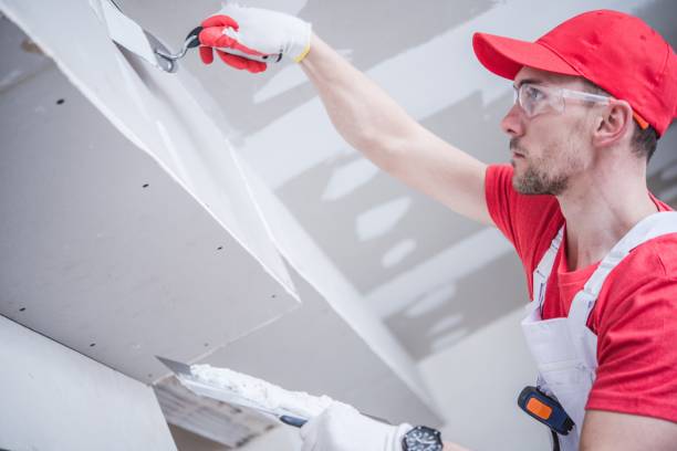 Best Residential Mold Inspection & Testing  in Eureka, KS